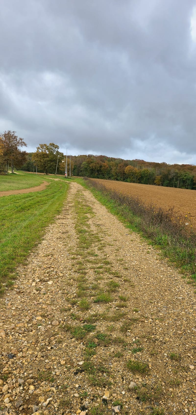 Bois de Soucy par Montaphilant - Soucy