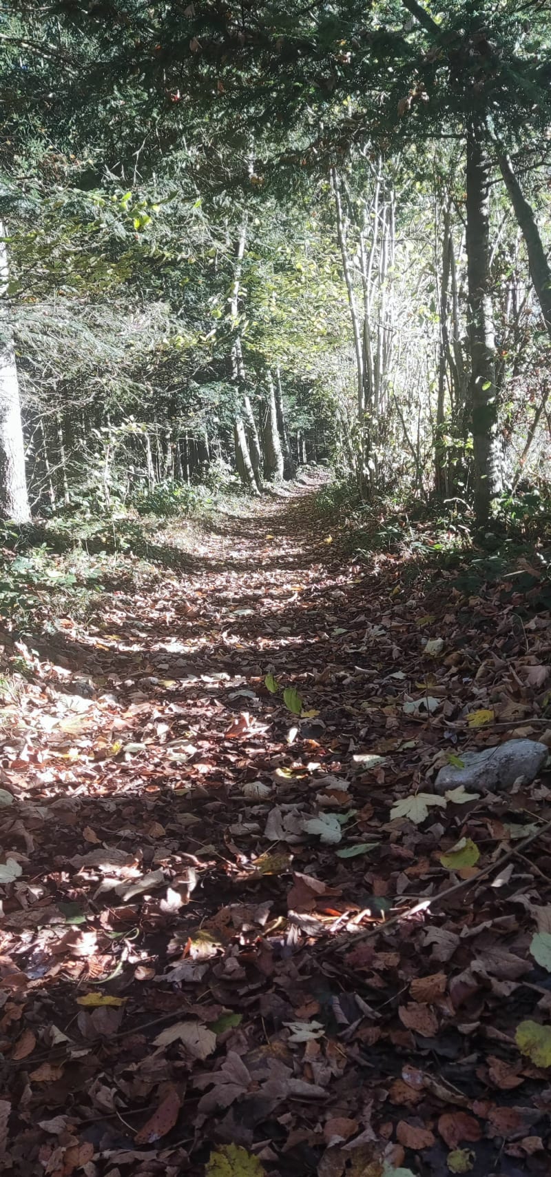 Boucle des Seignes depuis Damprichard - Damprichard