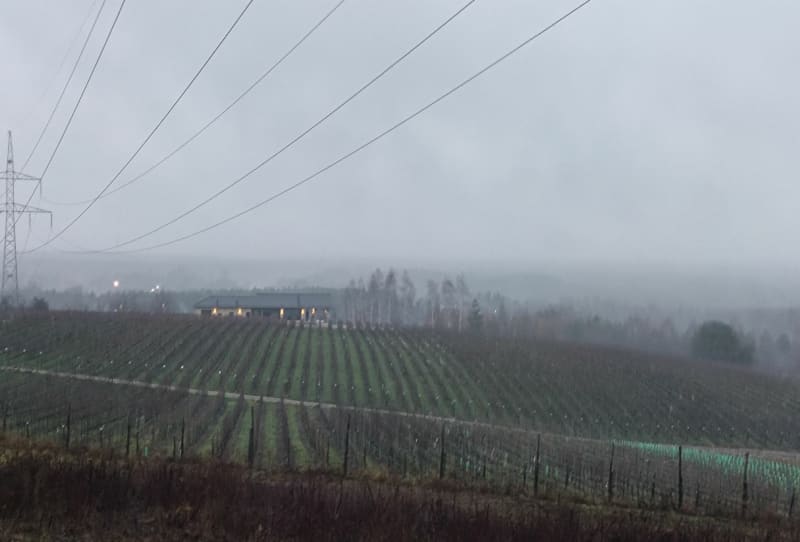Winnica w Libiążu i park Skarbnika - Libiąż