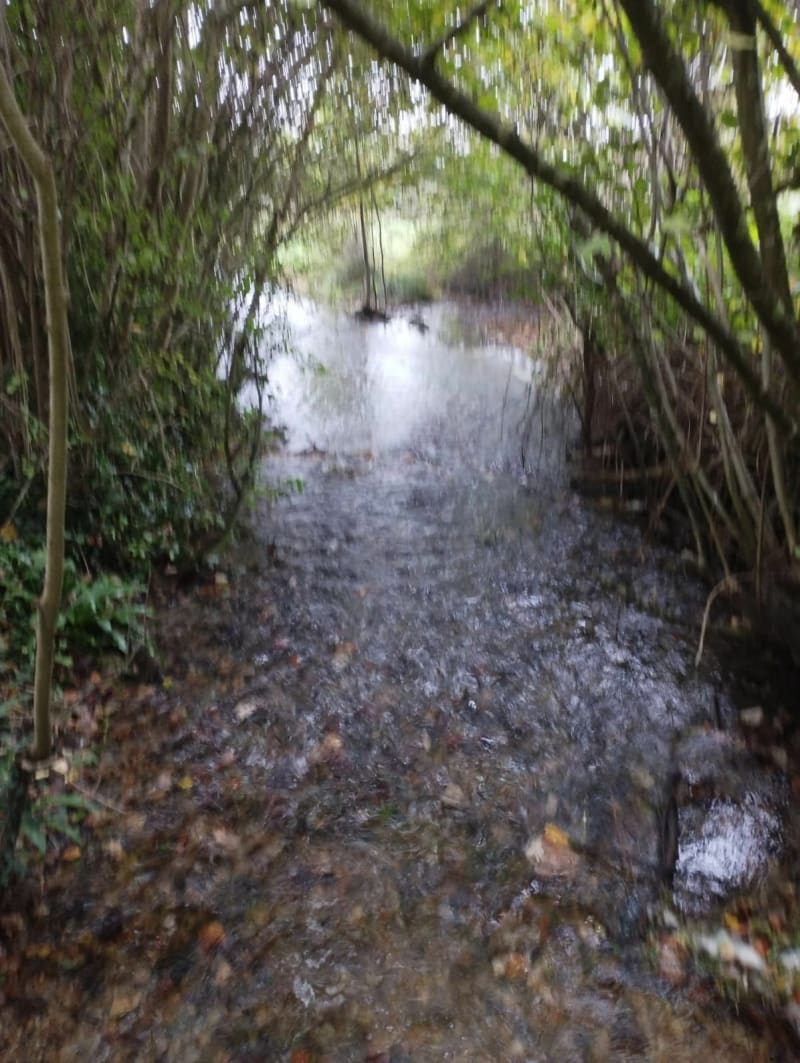 Entre rivière et château medieval - Montfort-sur-Risle