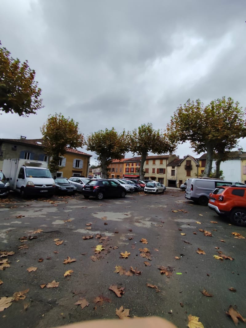 Balade en forêt de Lamothe - Colomiers