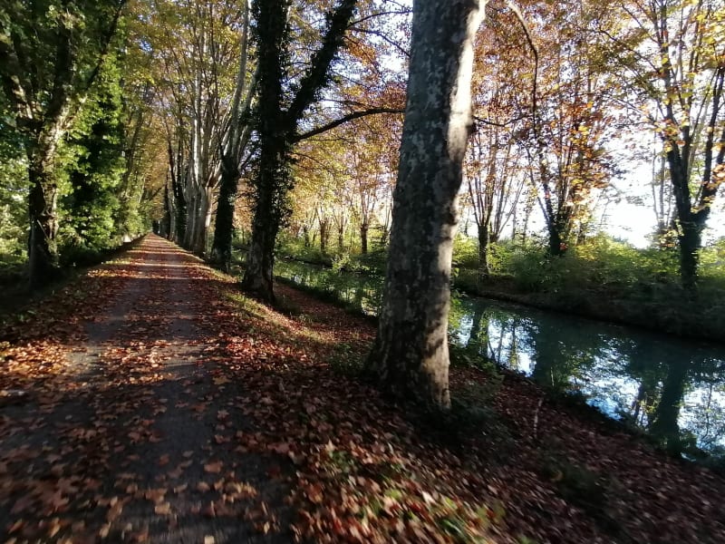 Garonne, son canal, platanes et écluses autour de Tonneins - Tonneins