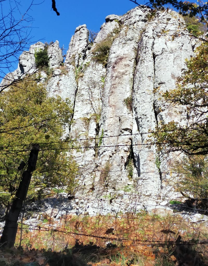 Le tour des orgues - Bort-les-Orgues