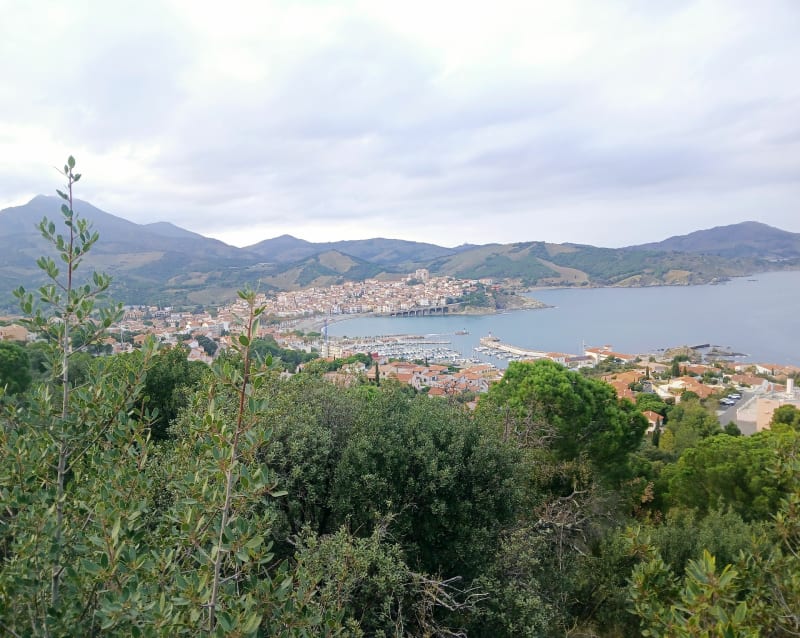 Les hauteurs de Banyuls et retour par la côte - Banyuls-sur-Mer