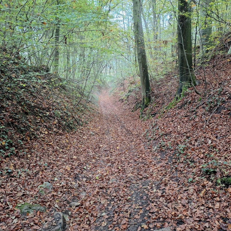 Autour de Rotheleux et Béthancourtel, par le Télégraphe - Breuil-le-Vert