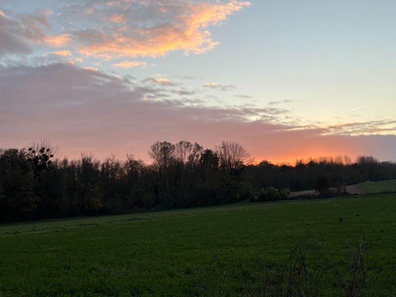Chemin de randonnée en bord de champ et de Bois - Paroy