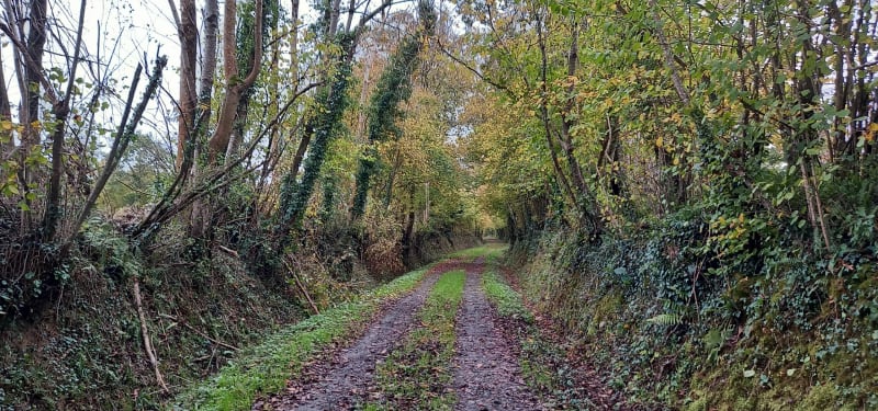 Hôtels en Vallée  du Lozon - Marigny-le-Lozon
