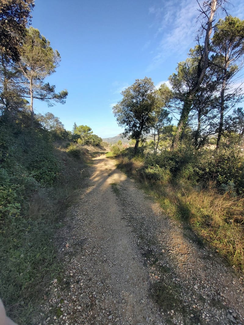 Sentier du bois de la ville "tour Gisclé " - Saint-Ambroix