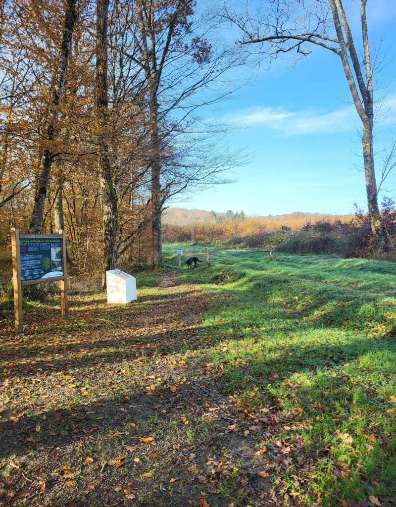 Dans les bois de Berdoues - Berdoues