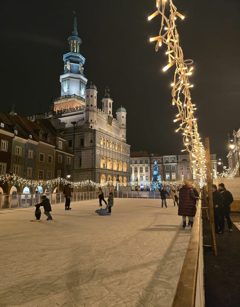 Z Wildy Przez centrum - Poznań