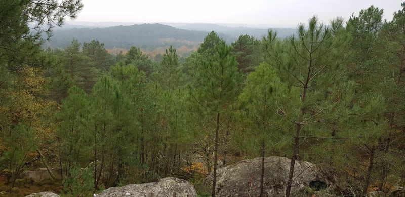 La Ferté-Alais et Bois de Baulne - La Ferté-Alais