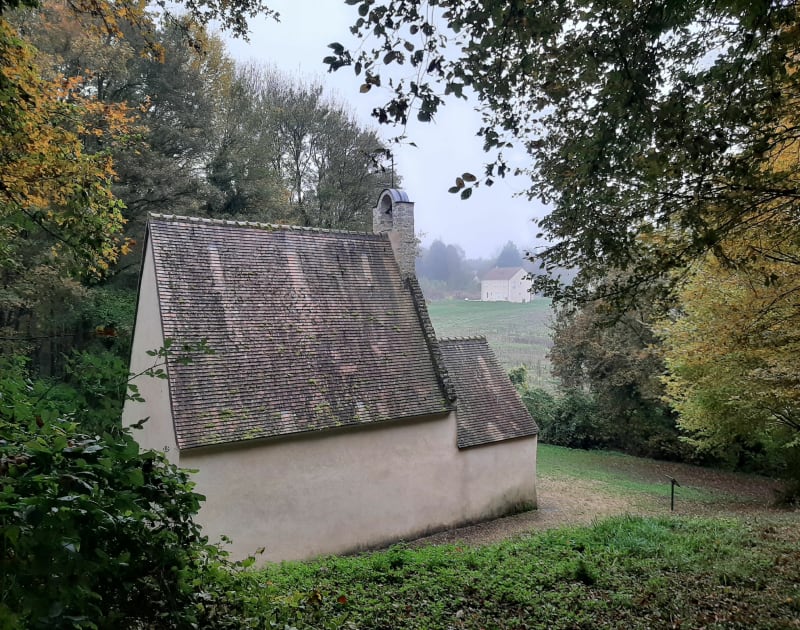 Balade autour de Chevannes- campagne- forêt - Chevannes