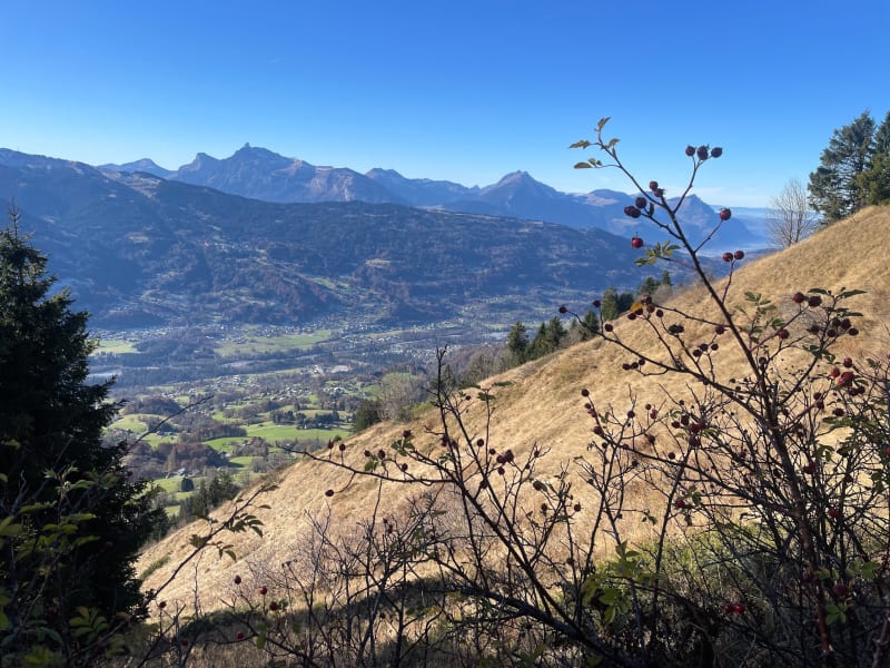La Bourgeoise par Joux Plane - Samoëns