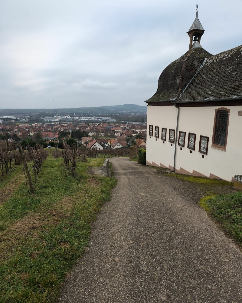 Rando autour de Marlenberg - Marlenheim
