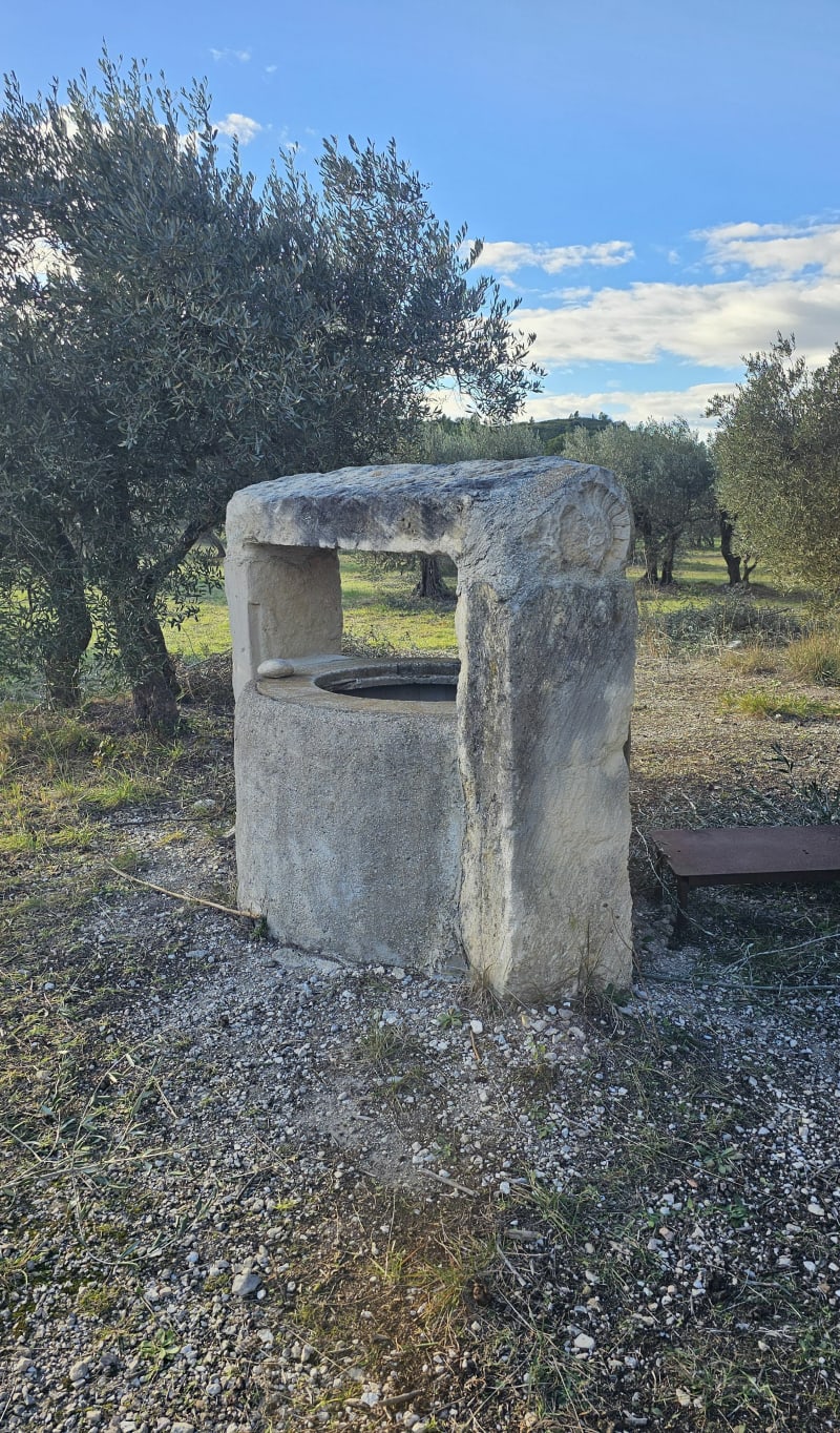 Des Oliviers aux canaux - Aureille