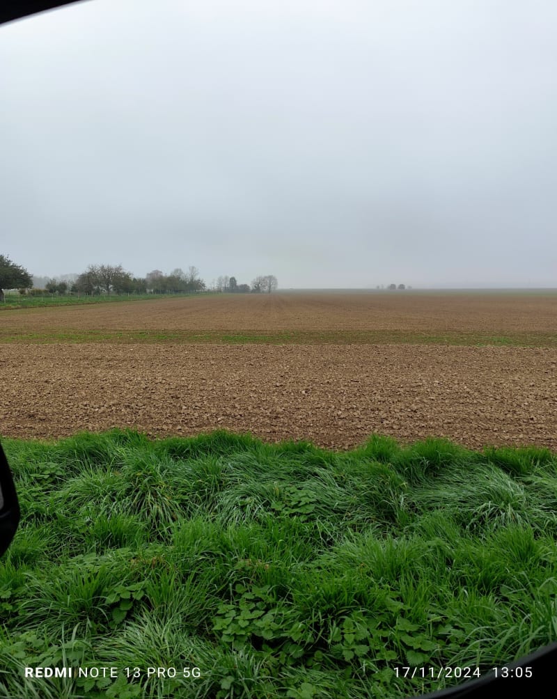 Cap dimanche forêt de Choqueuse, et Fringale - Doue