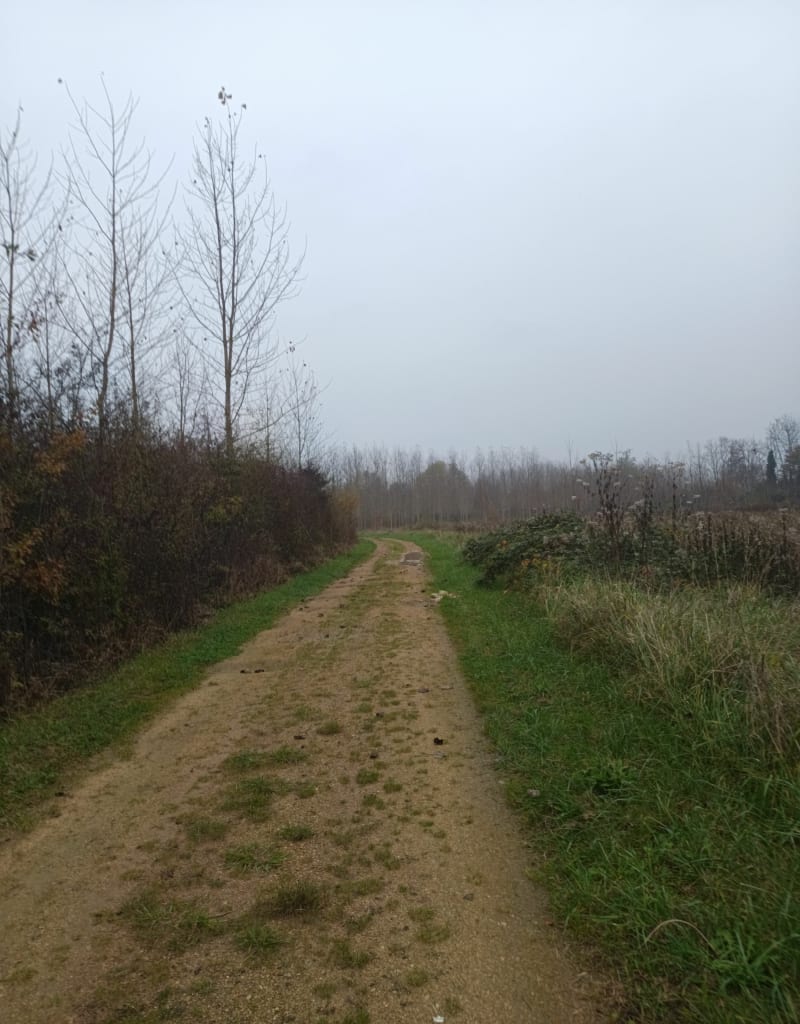 Marche sur Brienon-sur-Armançon, par la Pipe - Brienon-sur-Armançon