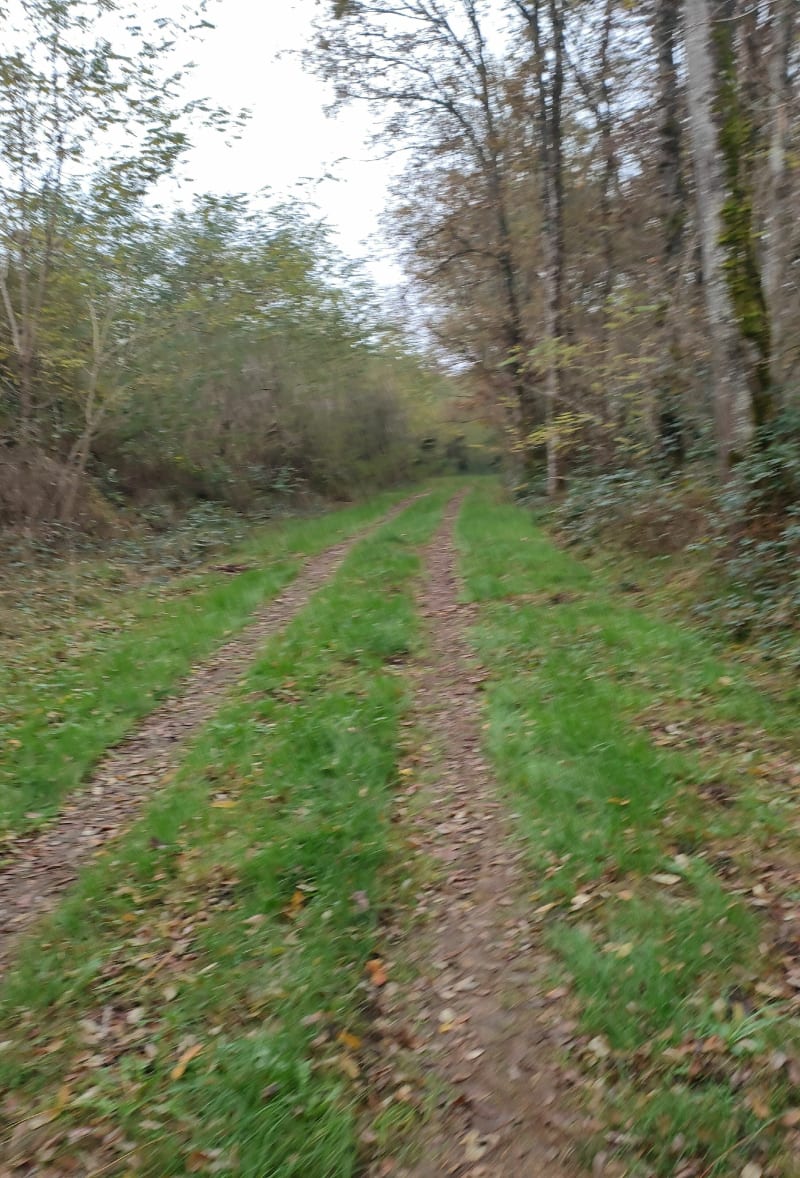 Le Controis en Sologne - Le Controis-en-Sologne