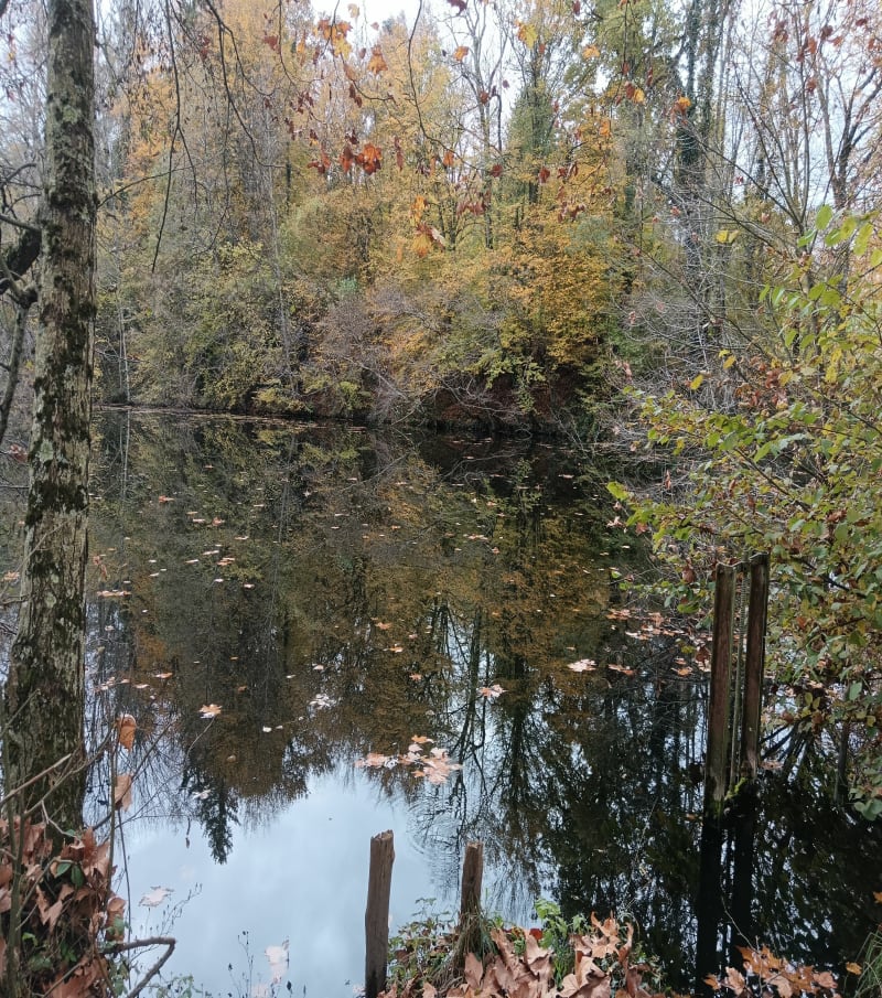 Au tour de Pressin - Le Pont-de-Beauvoisin