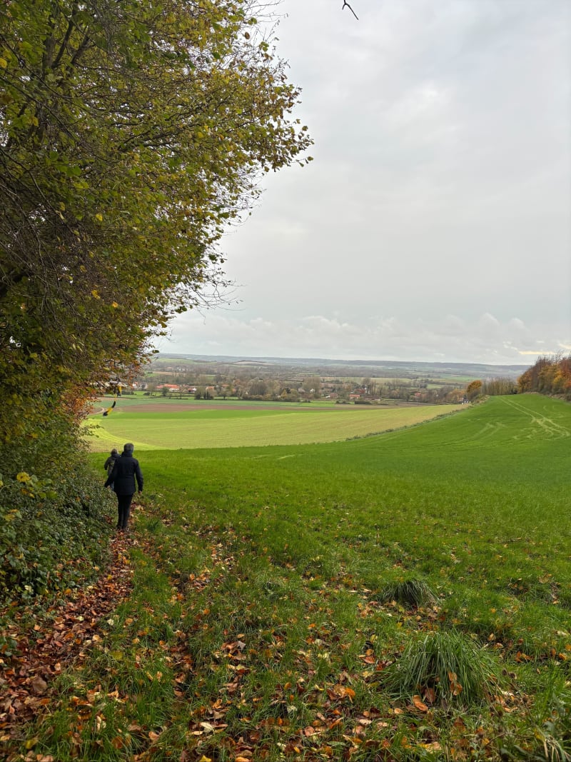 Boucle champêtre vers Journy et Quercamps - Quercamps
