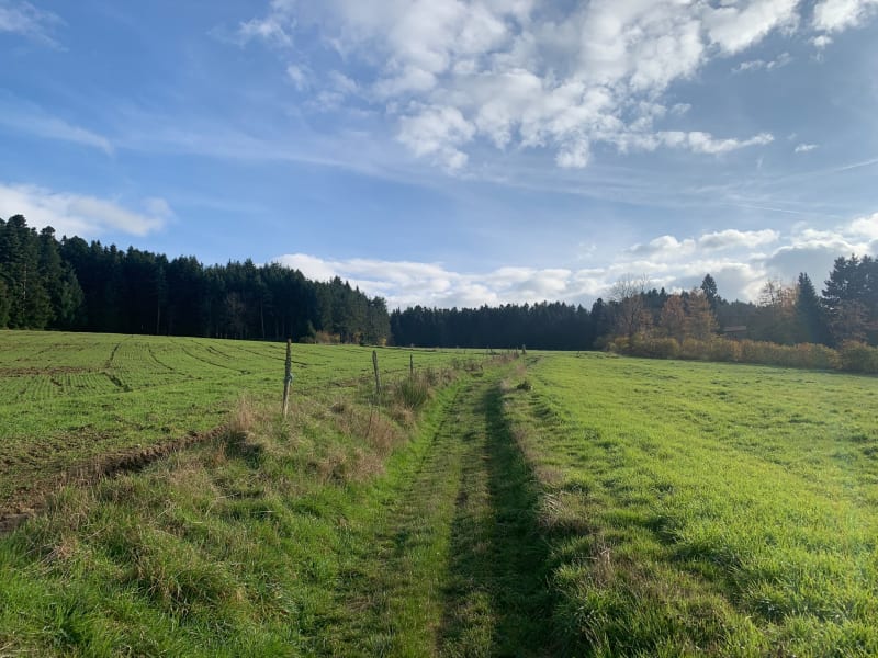 St-Romain-Lachalm - Saint-Romain-Lachalm