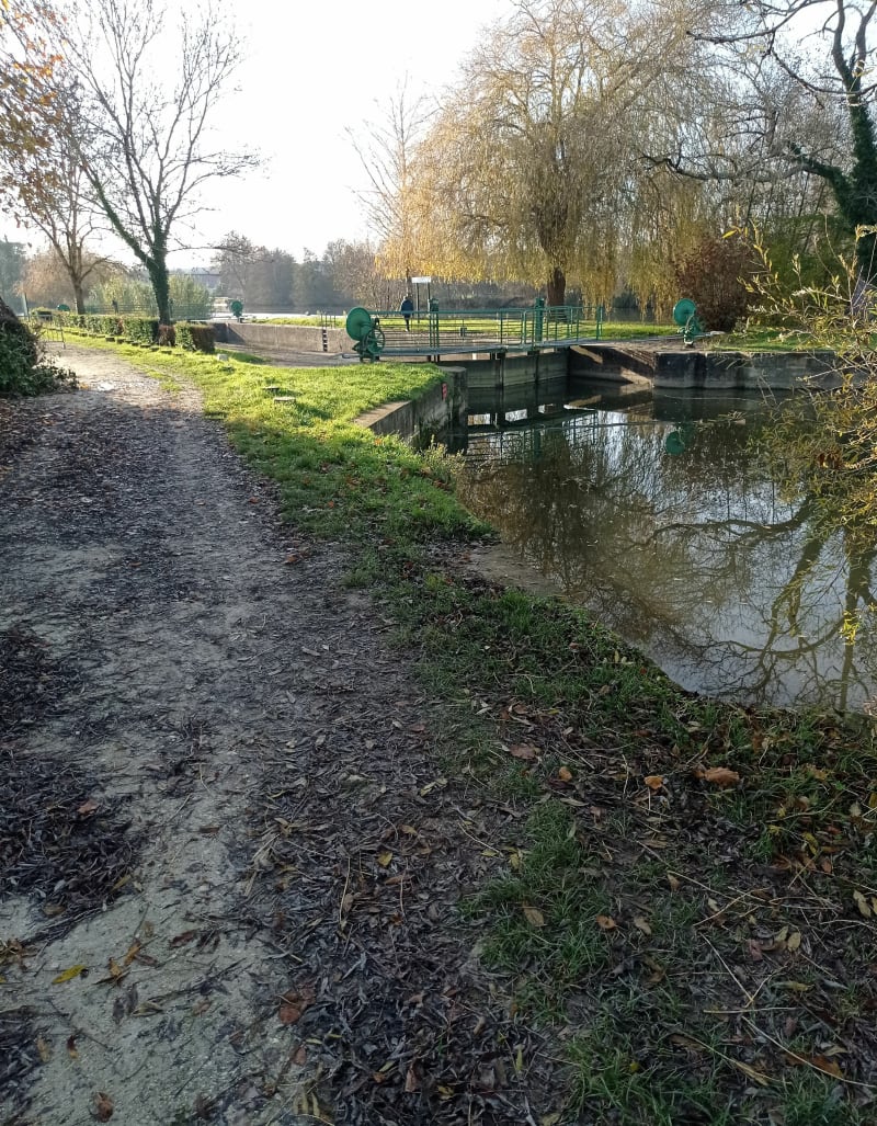 De Nersac au bord de la Charente - Nersac