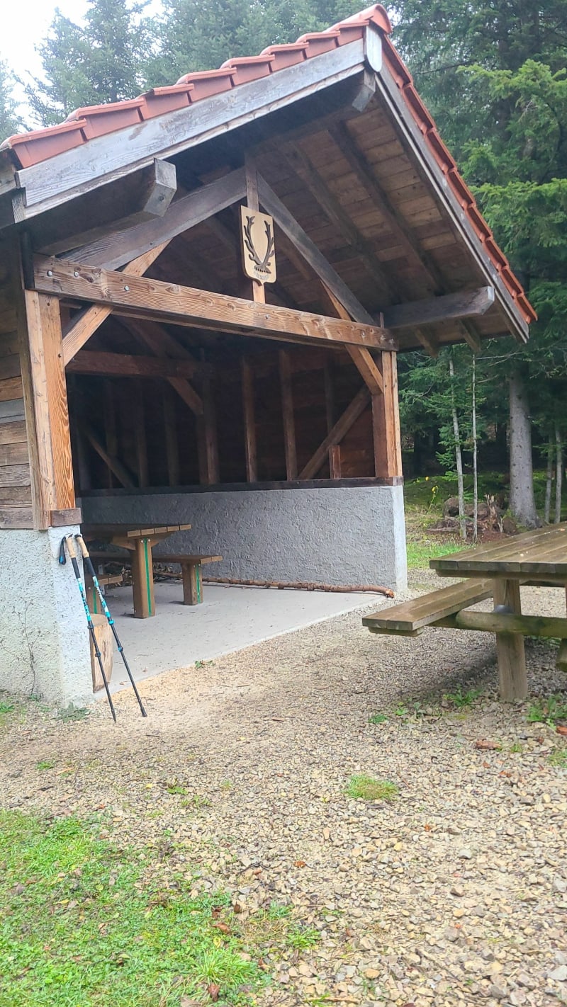 Balade à Walscheid - Walscheid