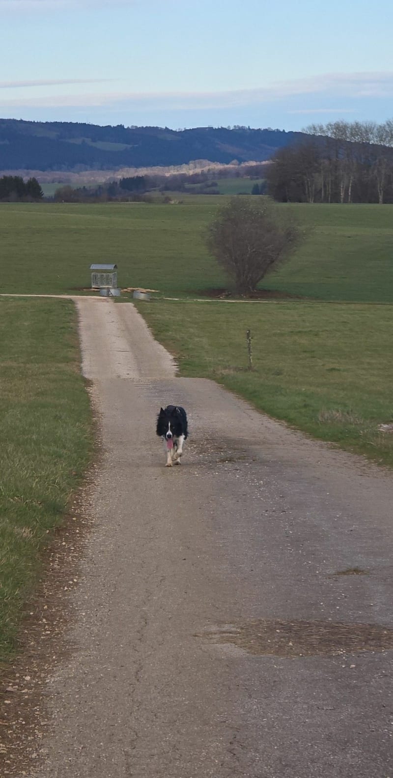 Promenade à Pissenavache - Bians-les-Usiers