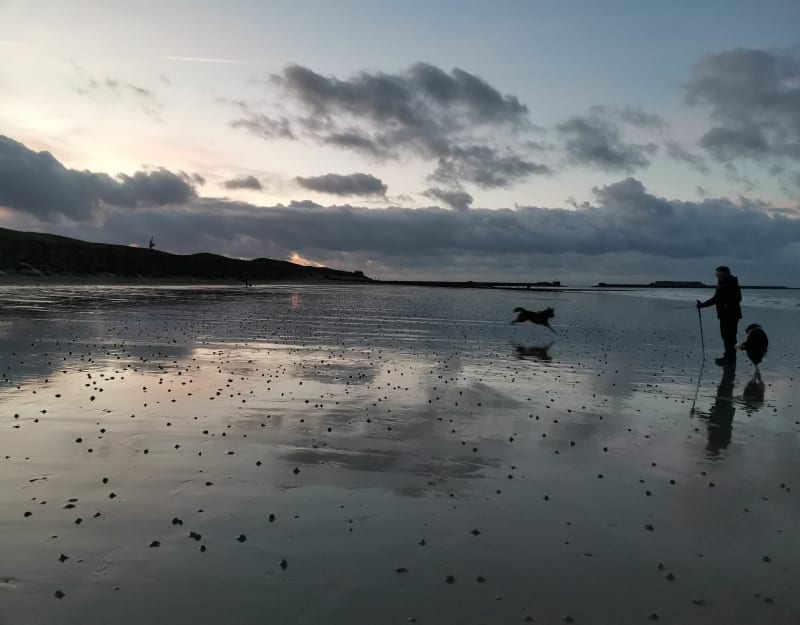 Vers Collignon entre terre et mer - Digosville