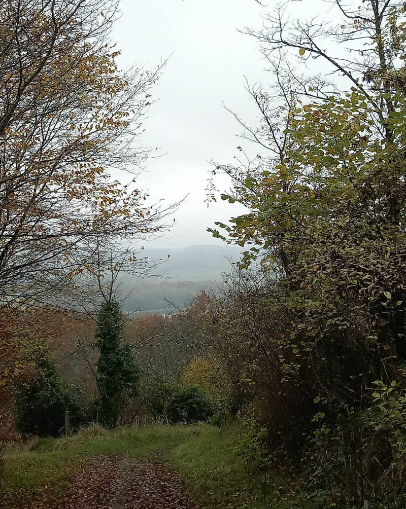 Lac de monampteuil - Monampteuil