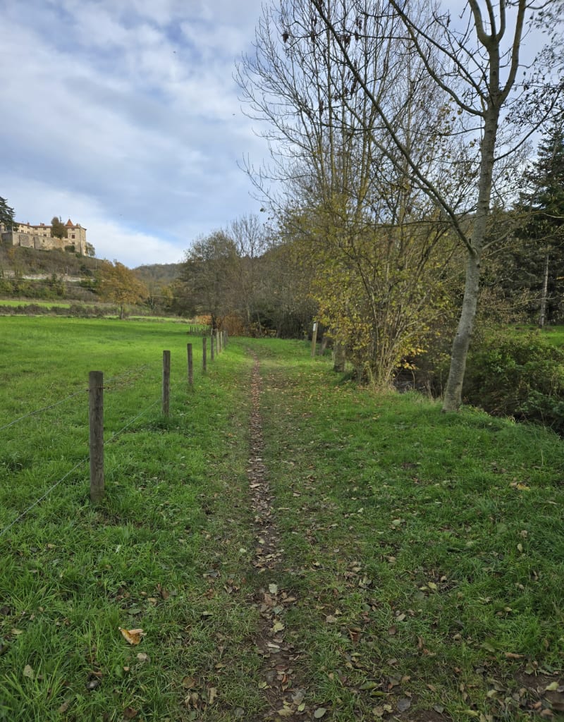 D'une marre à l'autre par la Chardière - Bellegarde-en-Forez