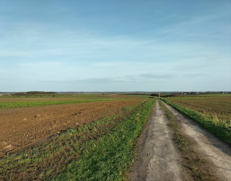 Autour des trois villages, par Fleury - Pierremont