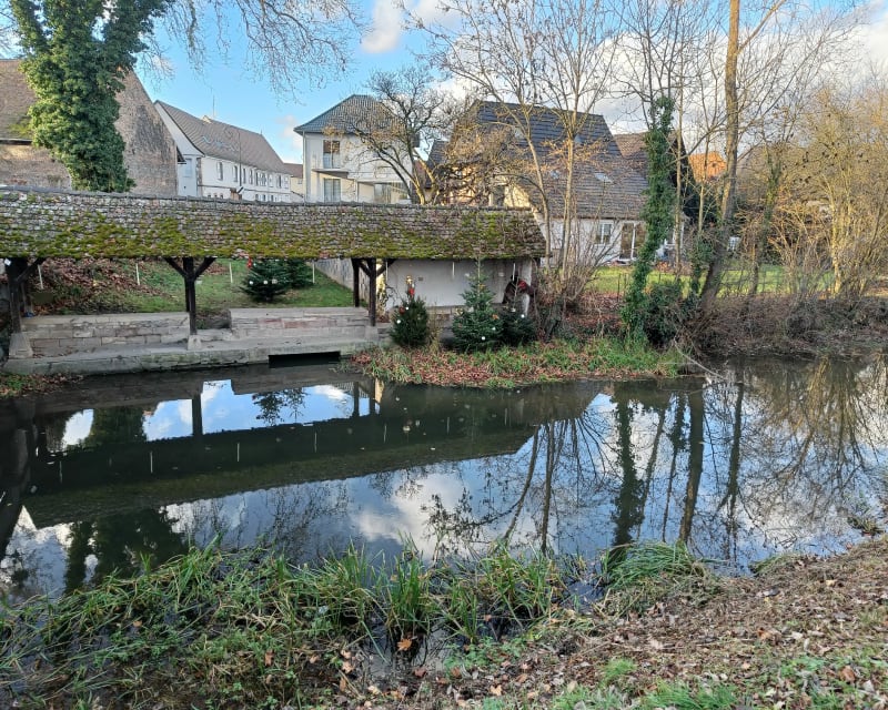Très belle piste cyclable et vue sur les champs à Achenheim - Achenheim