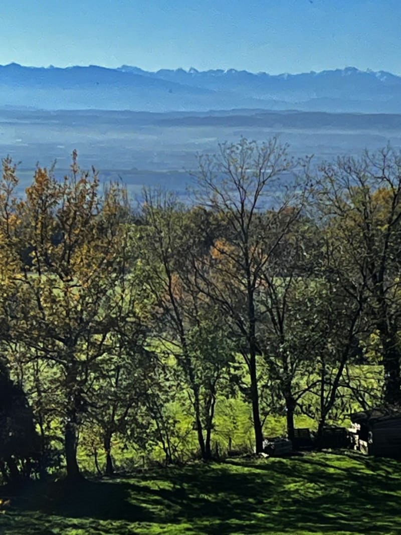 Ninaute - Limoux - Limoux