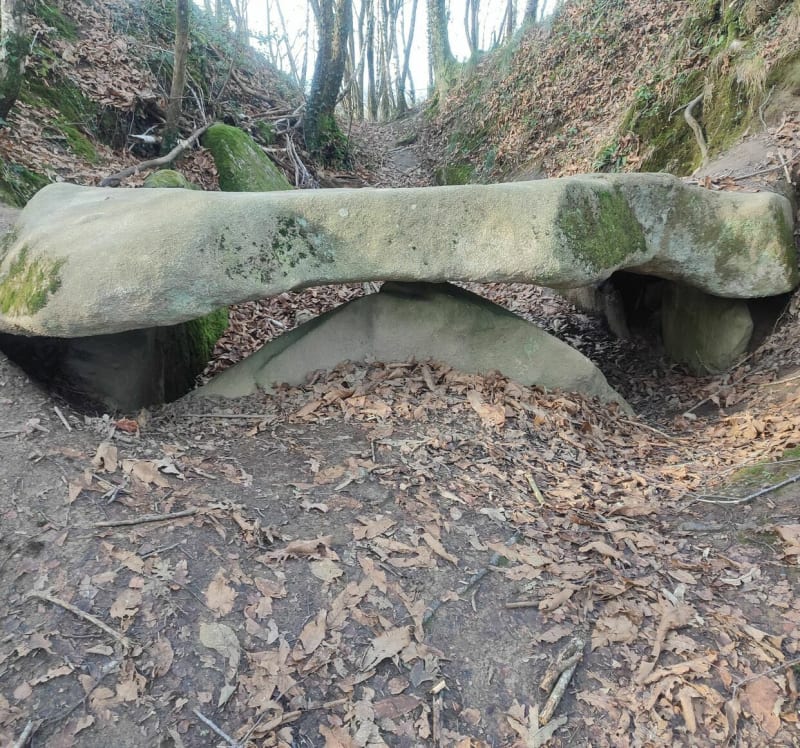 Dolmen du Pouey-Mayou - Bartrès