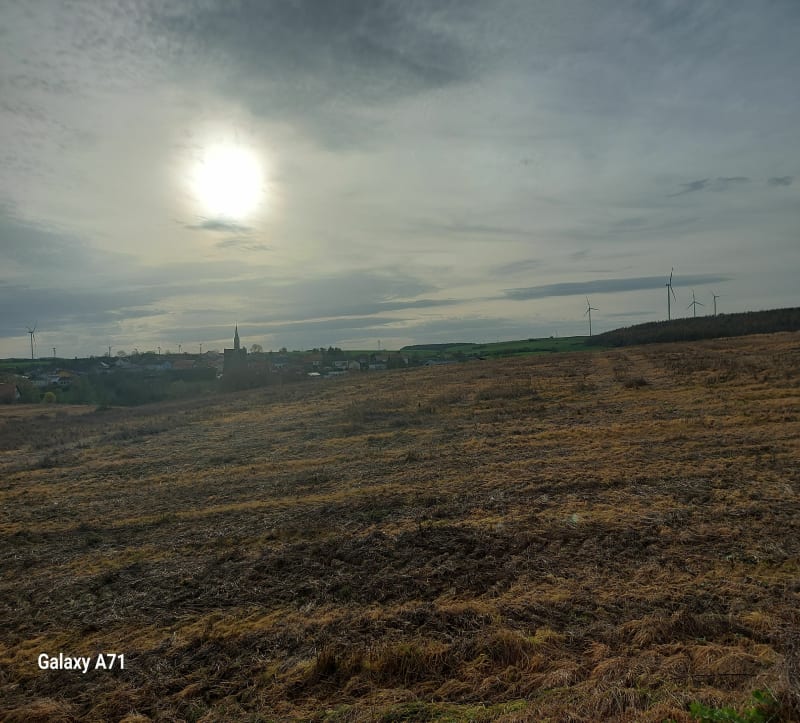 Petit tour autour de Boulay-Moselle par Momerstroff - Boulay-Moselle