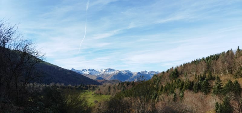 Port de Castet et Bois de Coussau - Castet