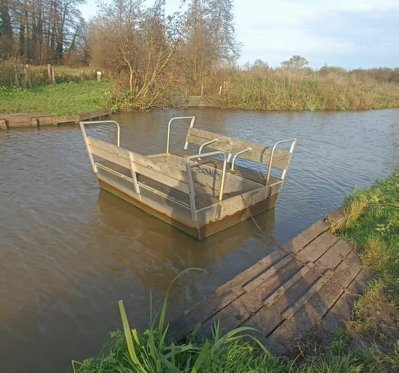 Dans les marais de Clairmarais, par le Champ du Rat - Clairmarais