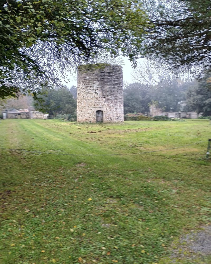 Randonnée à Nieul-lès-Saintes par Leuzois - Nieul-lès-Saintes