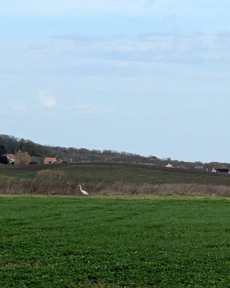 De Coulommes à la Chapelle de Saint-Die par Pargny - Coulommes-la-Montagne