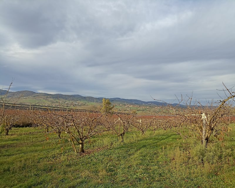 Promenade Jarrezienne par le Garon - Soucieu-en-Jarrest