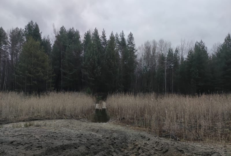 Bełczanka i Kosówki - Libiąż