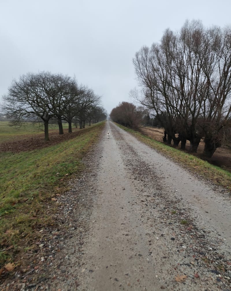 Trasa przy Kanale Ulgi - Gorzów Wielkopolski