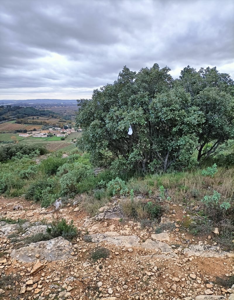 Le Camp de César et Plateau de Lacau - Laudun-l'Ardoise