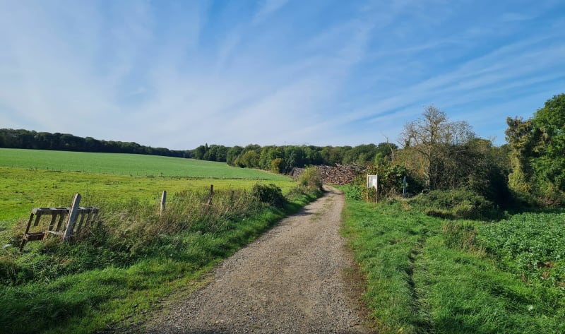 L'Isle-Adam et sa forêt - L'Isle-Adam