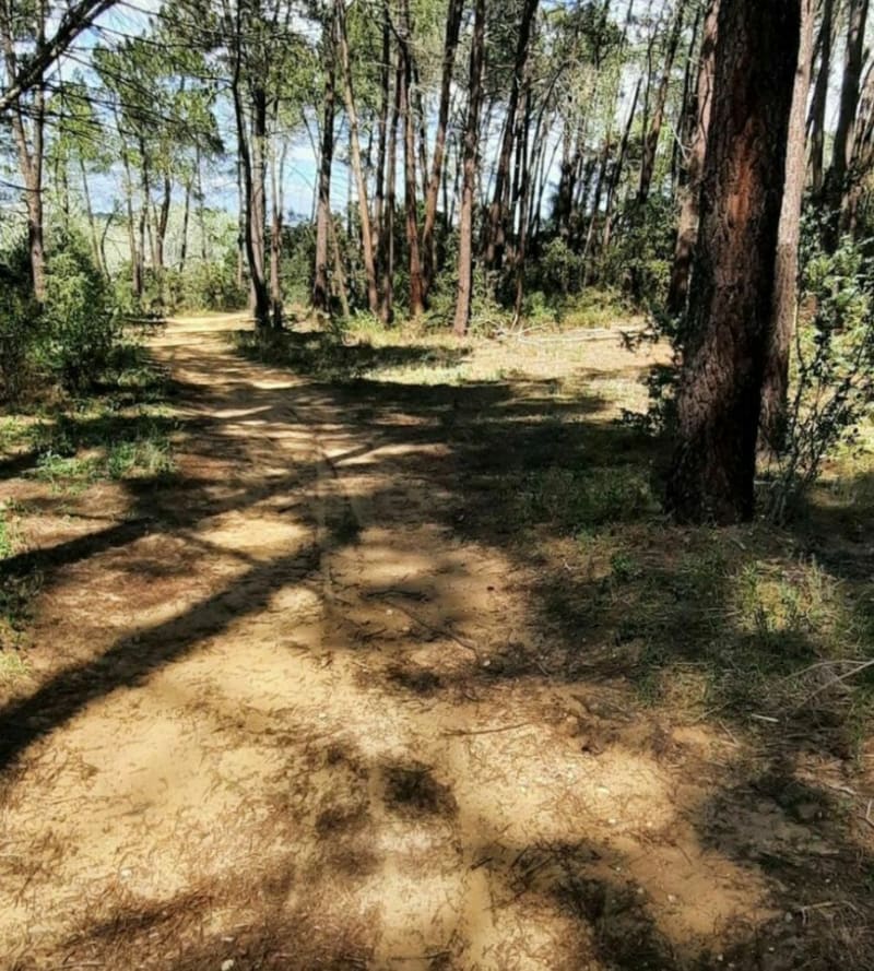 Balade autour de l'étang Saint-Louis - Montségur-sur-Lauzon