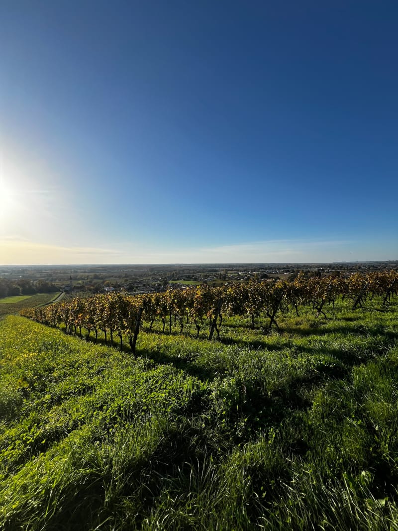 Balade autour des vignes de Béguey - Beguey