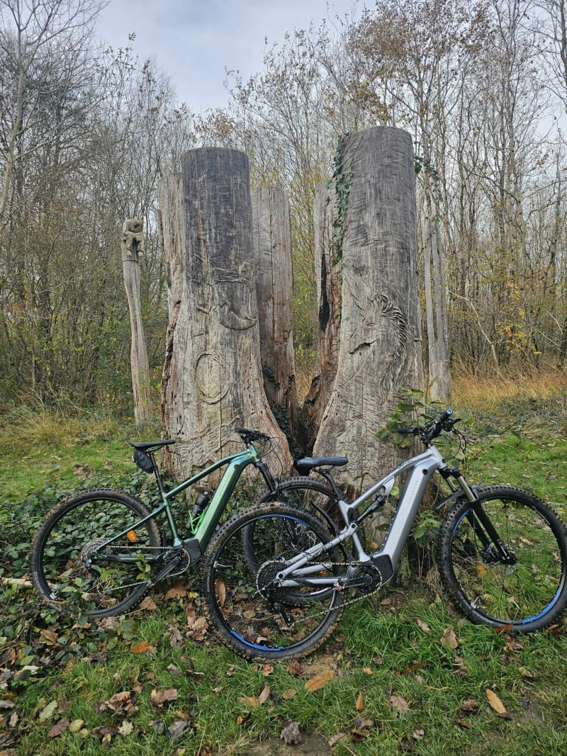 Forêt de Mervent-Vouvant - Mervent