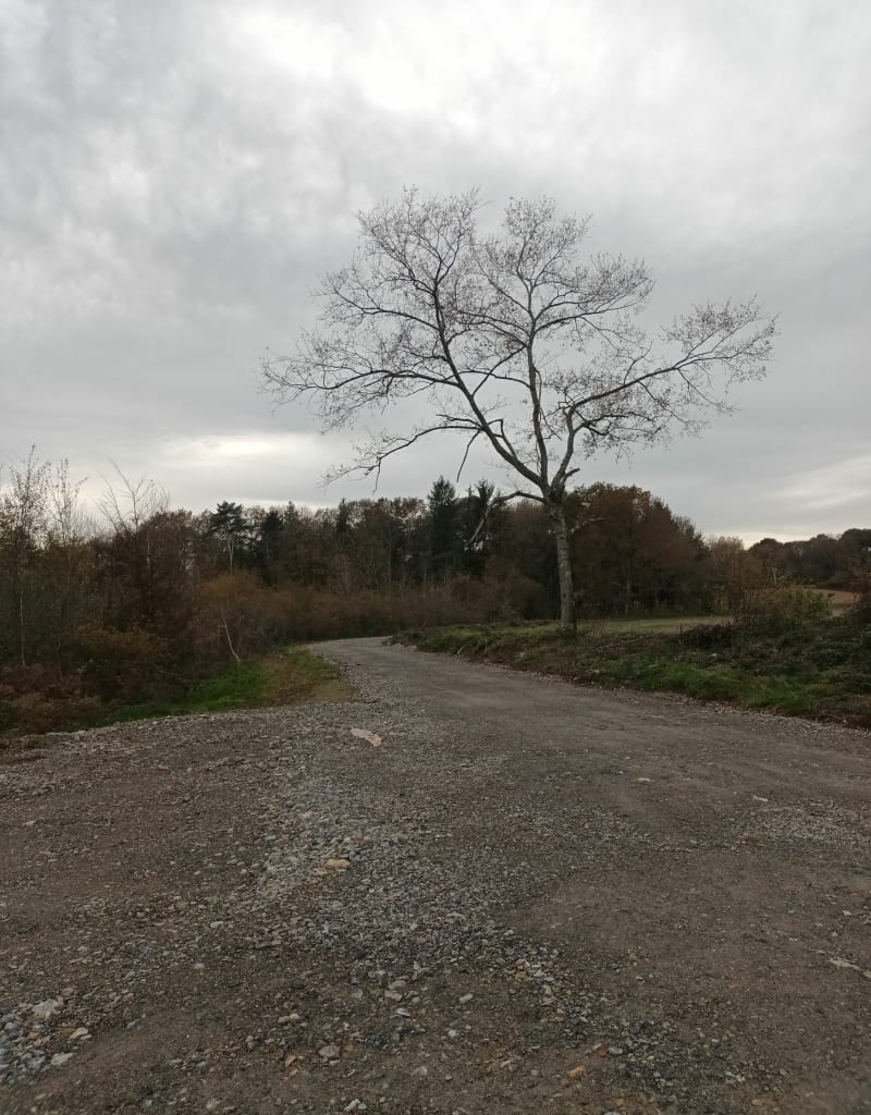 Balade Bordères - Bordères-sur-l'Échez