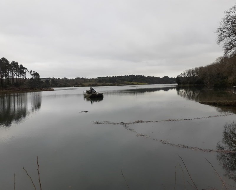Marche au bord de l'eau prés de Pont Aven - Névez